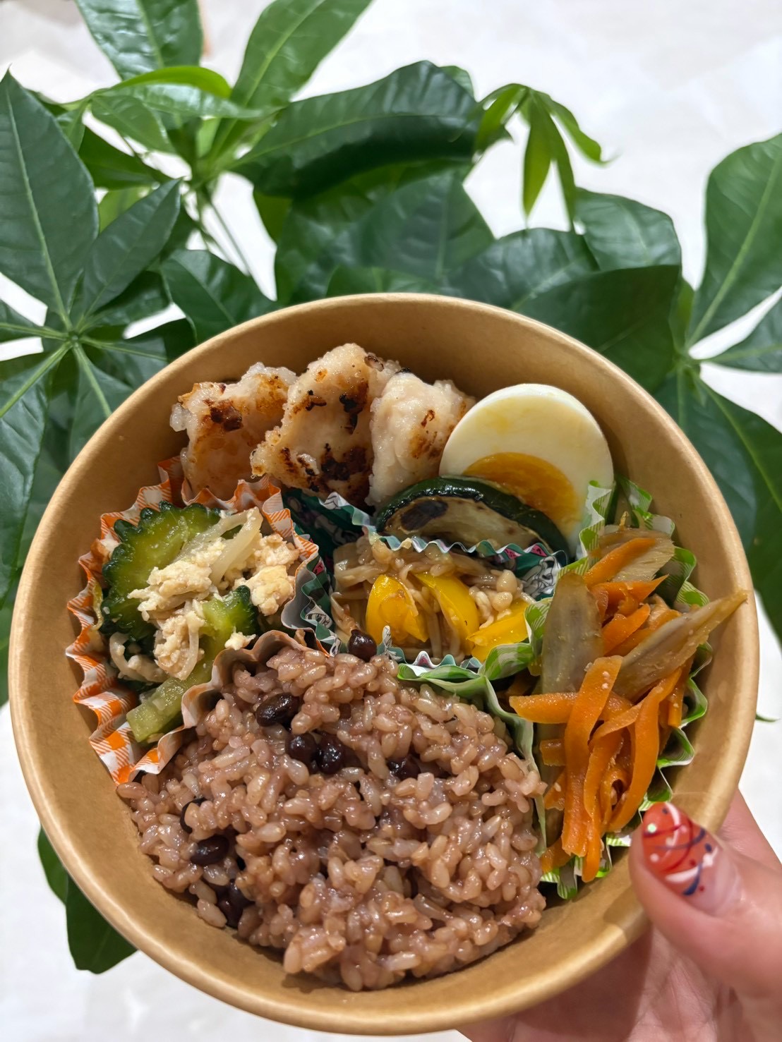 植物を背景に手に持った彩り豊かな酵素玄米のお弁当